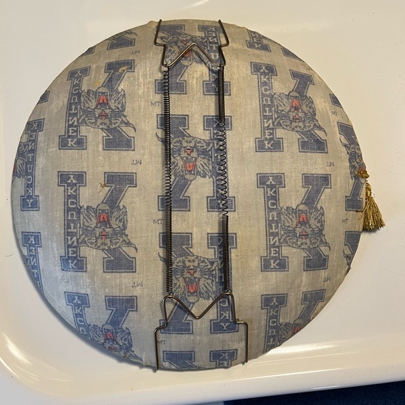 Rare Kentucky wildcats decorative plate - Picture 6 of 6